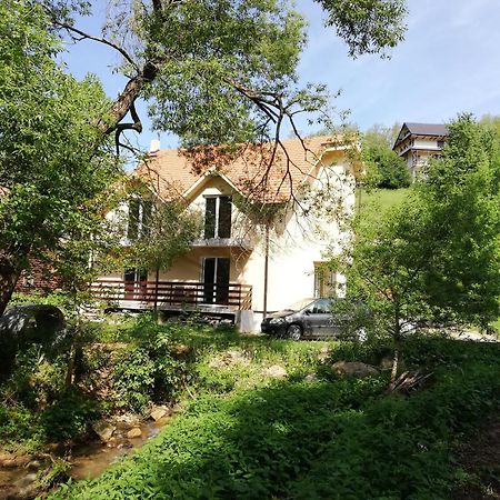 Crni Vrh Vila Vrh מראה חיצוני תמונה
